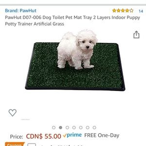 Dog Mat Training